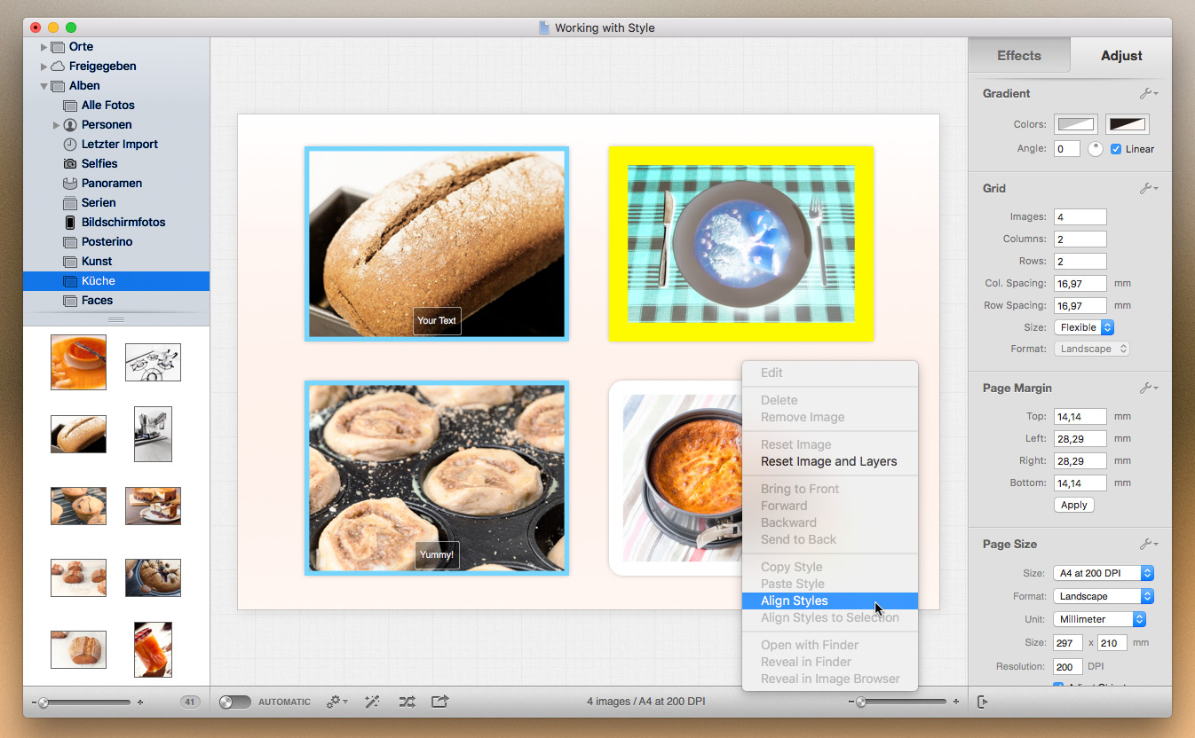WebSnapper Pro 2.33 MacOS [Full]